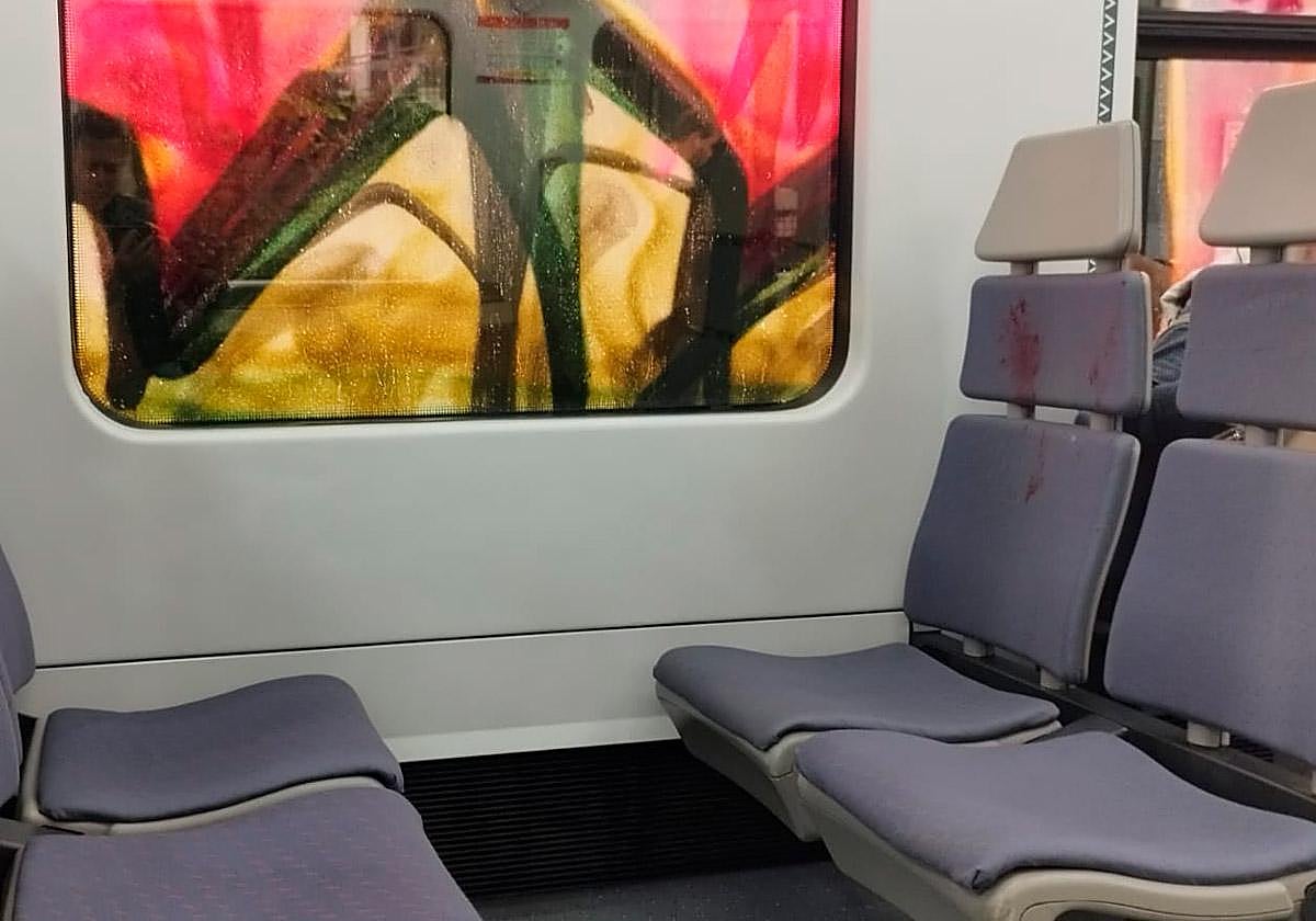Trenes vandalizados