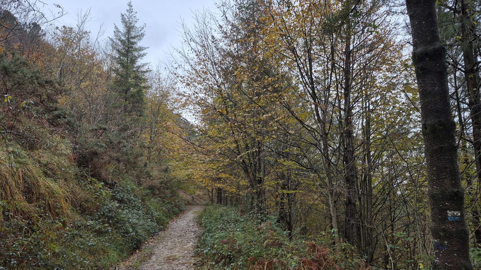 Oindi, un rincón mágico a la sombra del Adarra