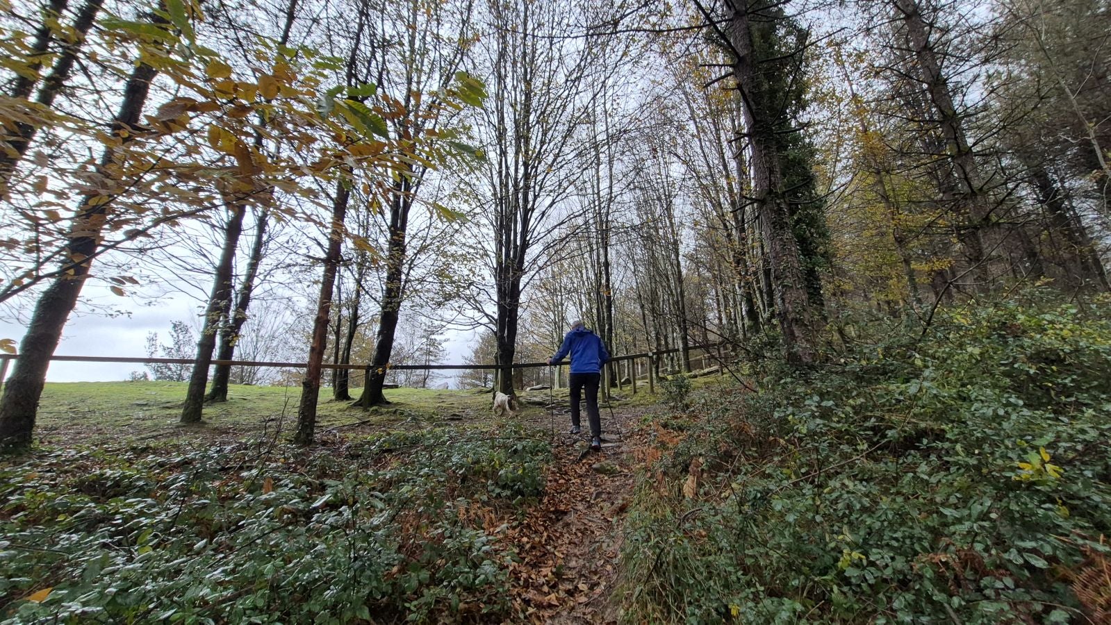 Oindi, un rincón mágico a la sombra del Adarra