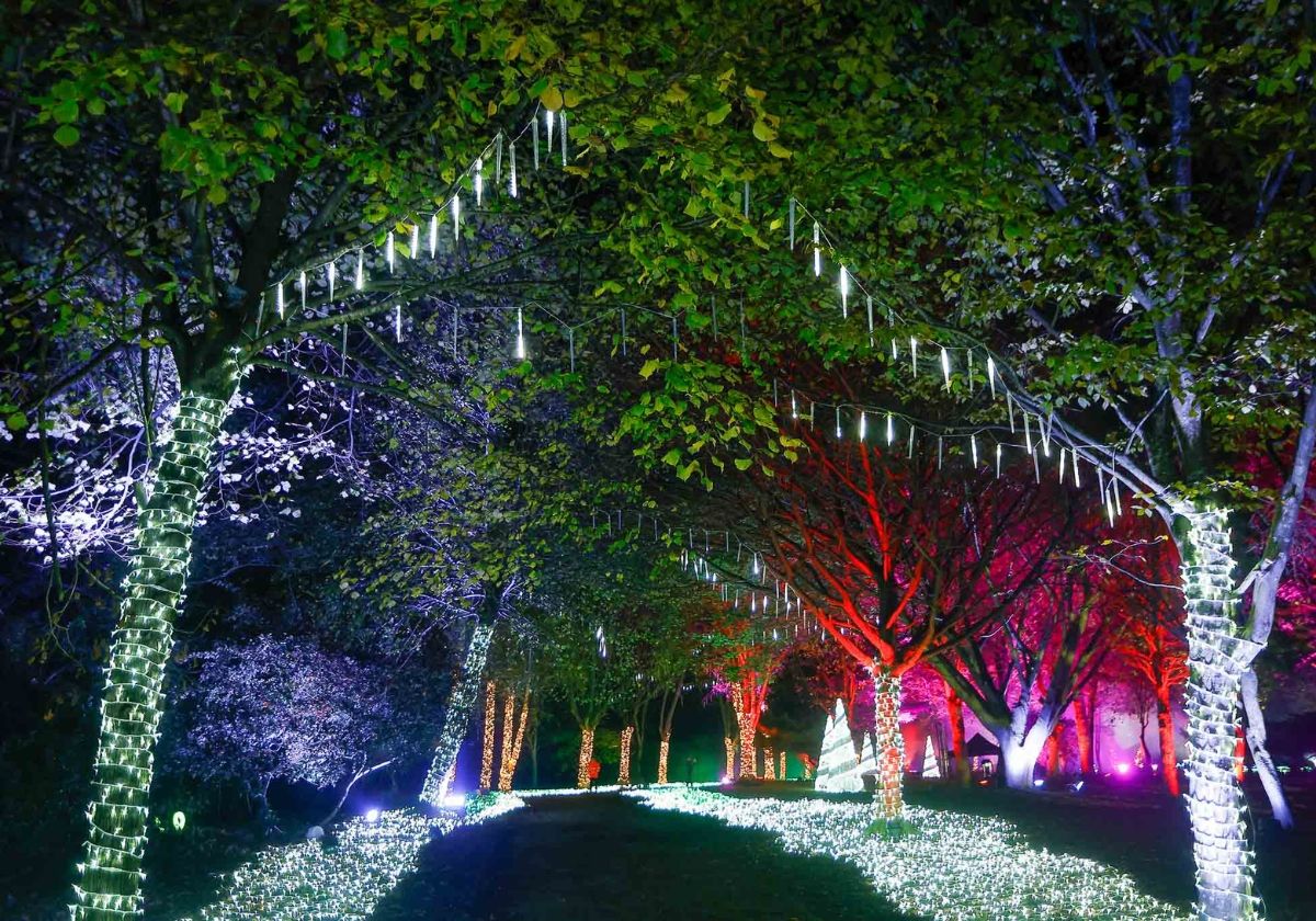 El Parque Mágico de la Navidad de Cartes.