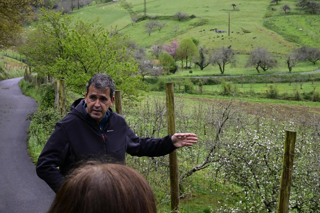 Los manzanos florecen en Errezil