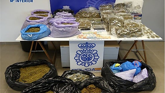 A juicio cinco acusados de tráfico de drogas a través de una asociación cannábica en Eibar