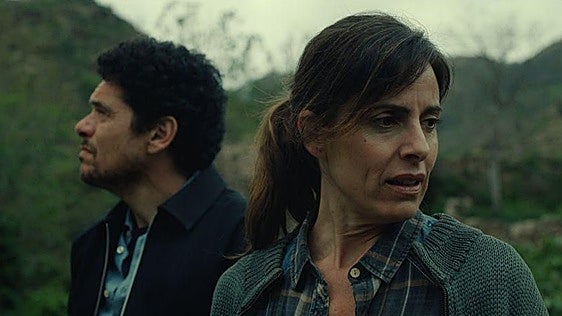 Crítica de 'Enjambre': Sobrevivir. Aunque muramos