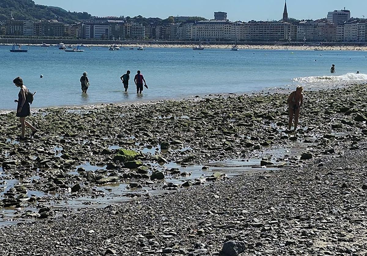 Costas cree que la retirada masiva de piedras sin aporte de arena está perjudicando a Ondarreta
