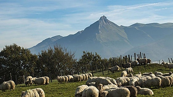 La naturaleza y las rutas de montaña se consolidan como uno de los principales reclamos turísticos de la comarca.