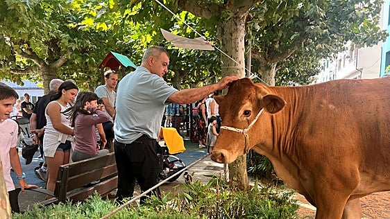 Ovejas, cabras y un burro, nuevas incorporaciones en la feria de ganado de las fiestas de Urretxu