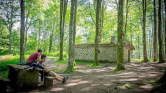 Erromeria egingo da larunbat honetan Uliko bordaren inguruan