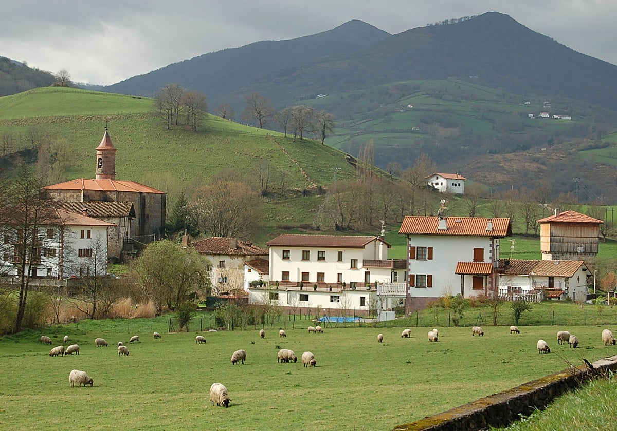 La asociación Cederna Garalur destina 1,6 millones al desarrollo rural