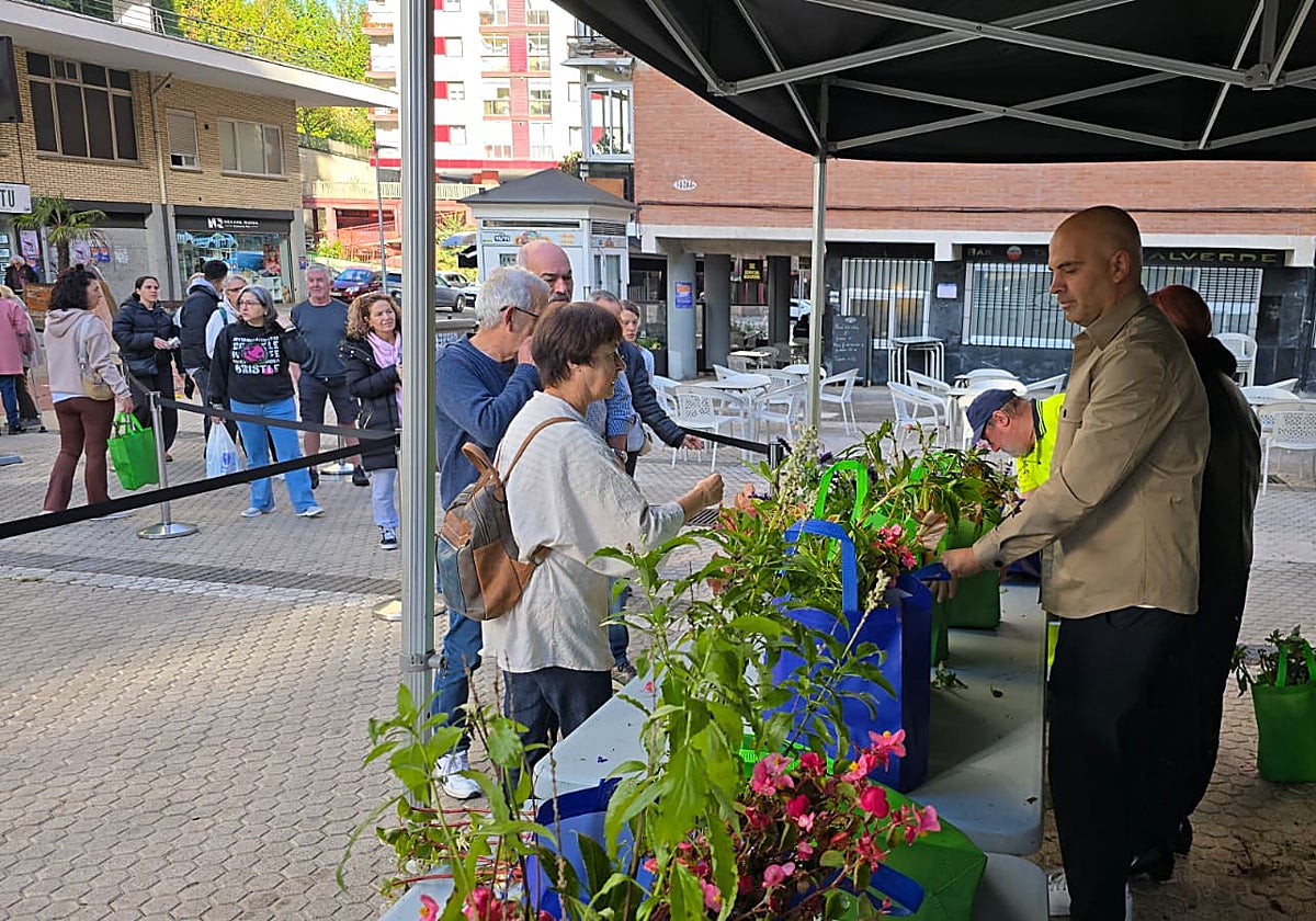 Sirimiri: Exitoso arranque del reparto gratuito de flores