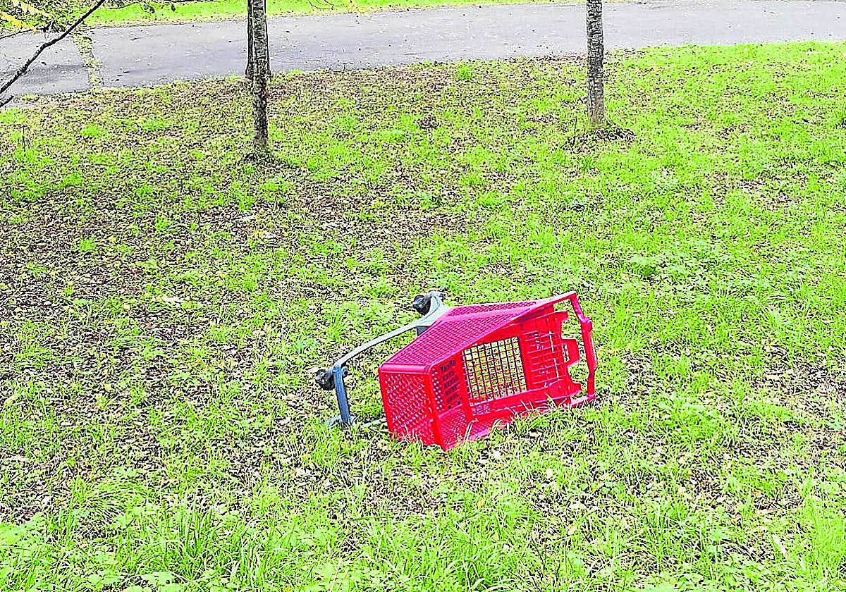 Sirimiri: Carro de compra, en el parque Otxoki