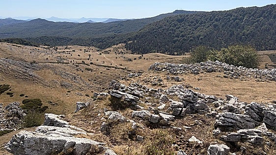 Trotarie, guardián del desierto de Aralar
