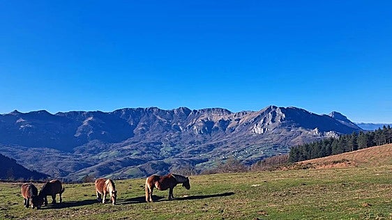 Últimos días para apuntarse a la salida a Musaio con Mendira
