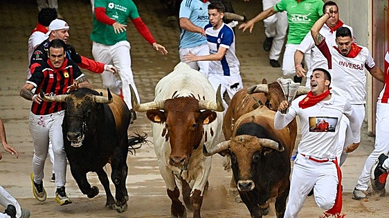 Veloz y accidentado sexto encierro de San Fermín con los toros de La Palmosilla, con un herido leve por asta
