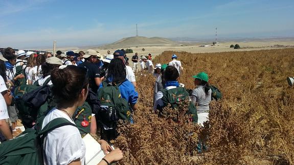 Complejo agrícola en Paracas.