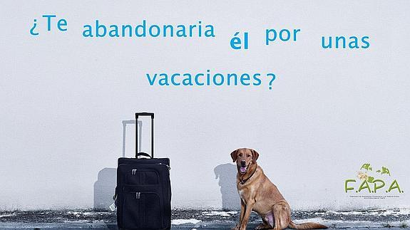 Una campaña contra el abandono de animales.