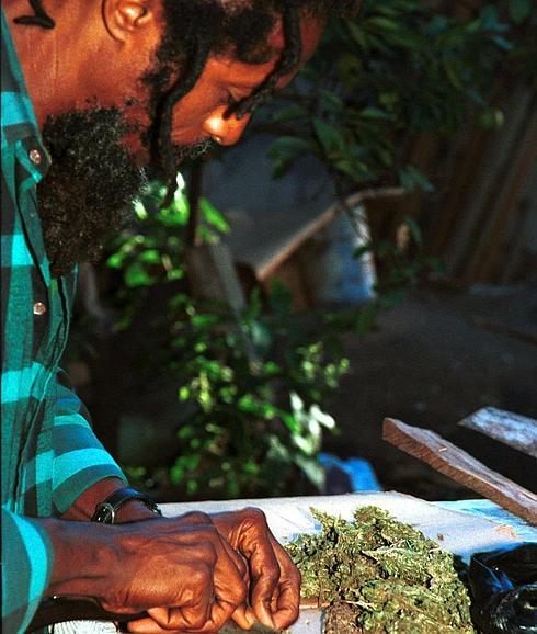 Jamaicano preparando marihuana.