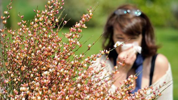 ¿Has descubierto que eres alérgico?