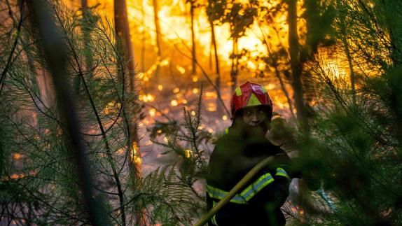 Un bombero en un incendio forestal.