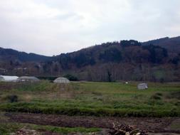 Vista de la zona de Zubieta, donde se prevé la construcción de la incineradora. [JOSE ARANBERRI]