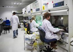 Inbiomed necesita ayuda económica a «corto plazo» para garantizar su viabilidad