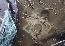 La barandilla, objeto deseado y protegido