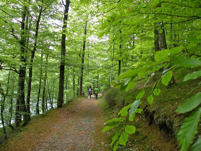 Embalses de Leurtza: un paraíso de la naturaleza