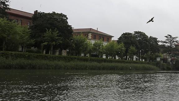 El viaje por el Urumea que ofrece Haritzalde en colaboración con Arrauning.com pasa por los cuarteles de Loiola, donde ambos márgenes están urbanizados.