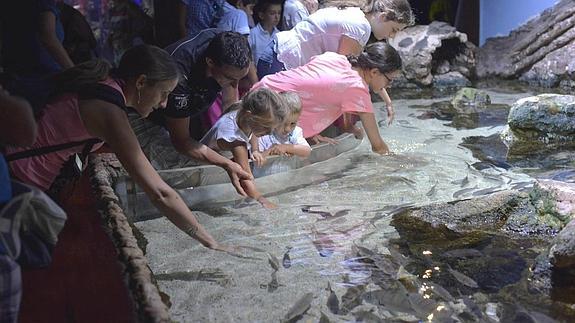 Niños y mayores disfrutan en el Aquarium de San Sebastián. 