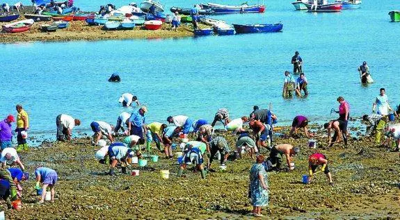 Aficionados recogen almejas en la bahía de Txingudi. 