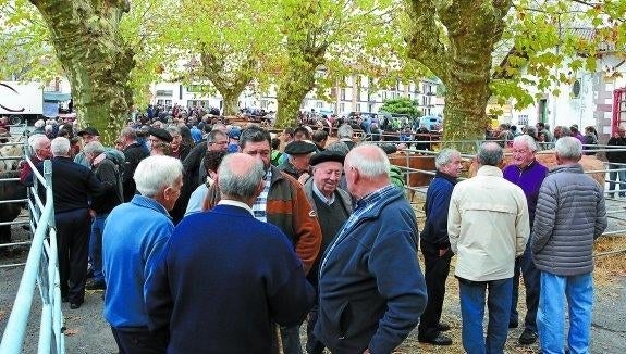 La Plaza del Mercado fue el lugar de encuentro por la mañana para vecinos de toda la comarca en torno al ganado. 