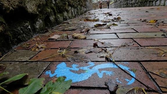 Zer da zehatz musker kontu hori?