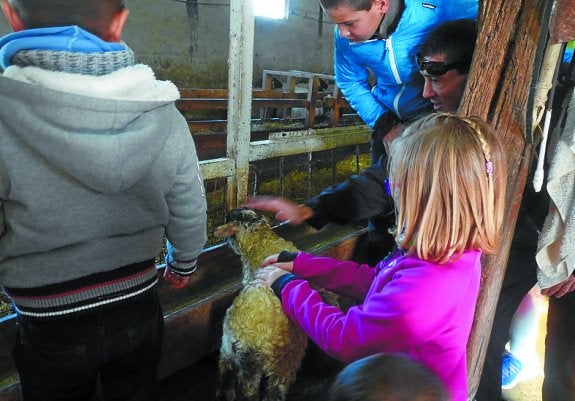 Haurrak izan ziren protagonistak ukuluan. 