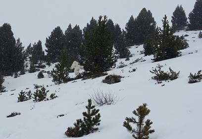Unos esquiadores aseguran haber visto al Yeti en Formigal