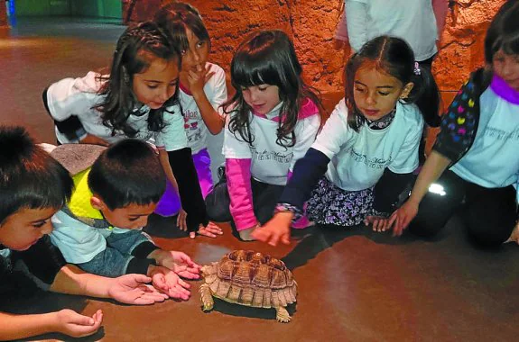 Alumnos del centro educativo en la celebración del día de María Rivier y en la visita realizada al Museo de la Ciencia. 