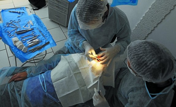 La salud dental depende en su gran mayoría del sector privado.