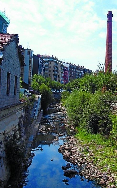Campaña contra los roedores desde mañana. 