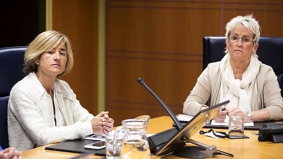 Pilar Zabala y Asun Lasa, en la Comisión de Derechos Humanos del Parlamento Vasco,