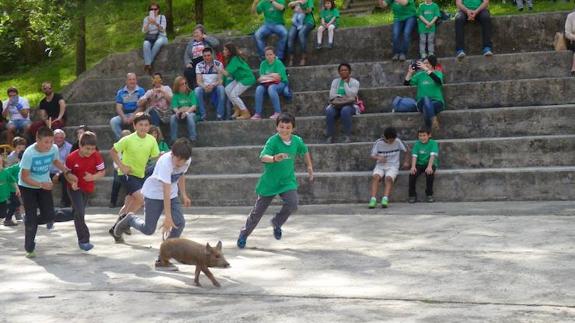 Una imagen de los espectáculos con animales. 