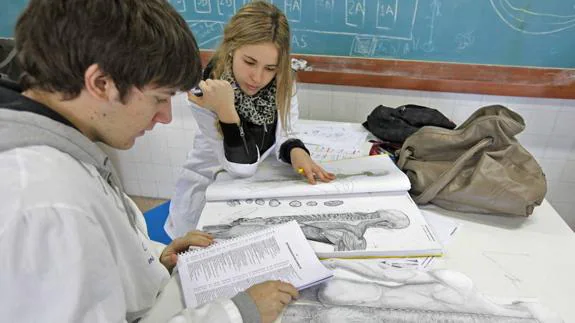Estudiantes en la Facultad de Medicina de la UPV. 