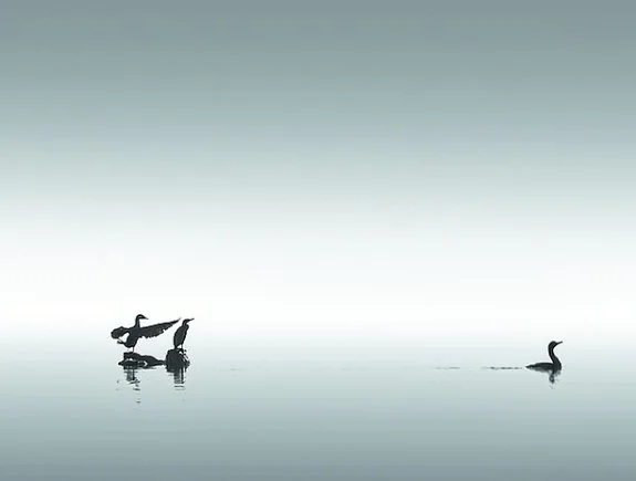 Tres de las ocho fotografías con las que el fotógrafo irundarra se ha impuesto en el concurso europeo EISA Maestro.