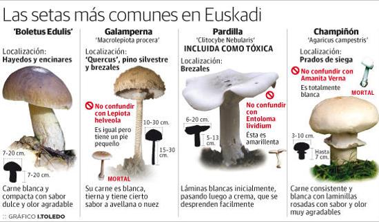 Preparando las cestas para las setas