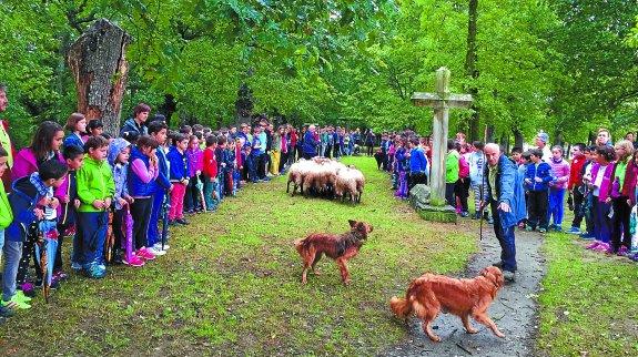 Clase práctica en San Martín. Doscientos escolares atendieron a las explicaciones y demostraciones de Bengoa, Madinabeitia y Ugarte.