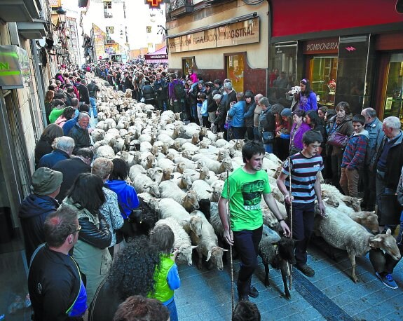 Un rebaño de ovejas cruzará las calles de Eibar para mostrar el trabajo del pastoreo.