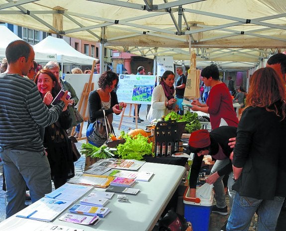 Puestos con información y también con productos.