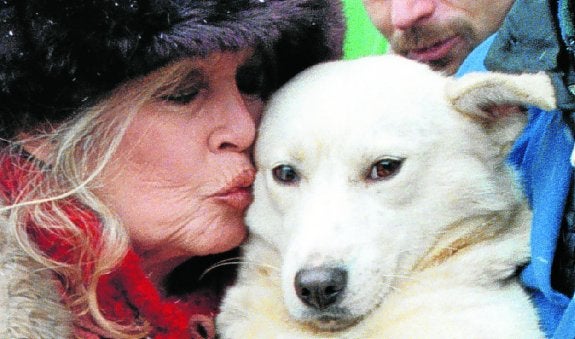 Bardot besa a un perro en una imagen de archivo. 