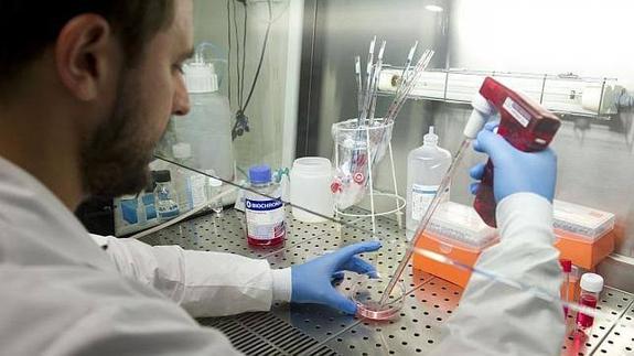 Chemsex, el «preocupante fenómeno» del sexo con drogas