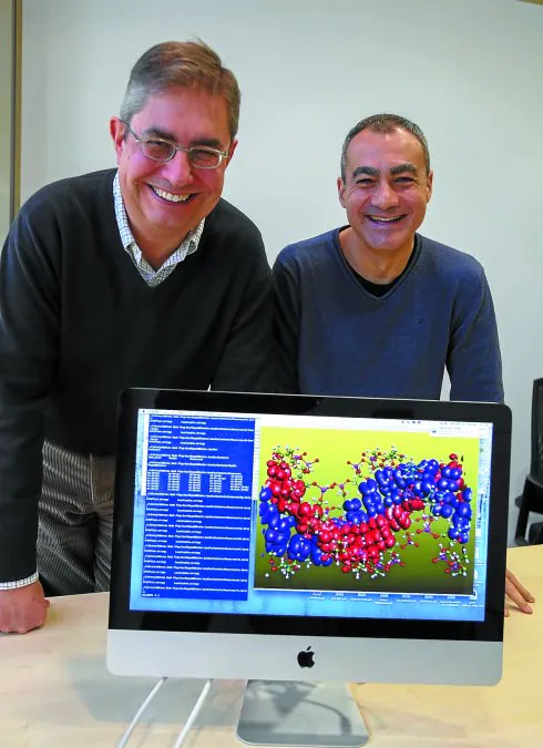 Emilio Artacho y Daniel Sánchez Portal muestran una simulación del código Siesta.
