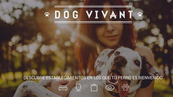 Ese perro también es mi cliente