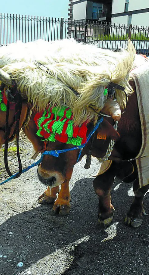 Feria el pasado año.  