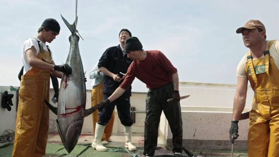 Pesca de atún en la costa de Almería